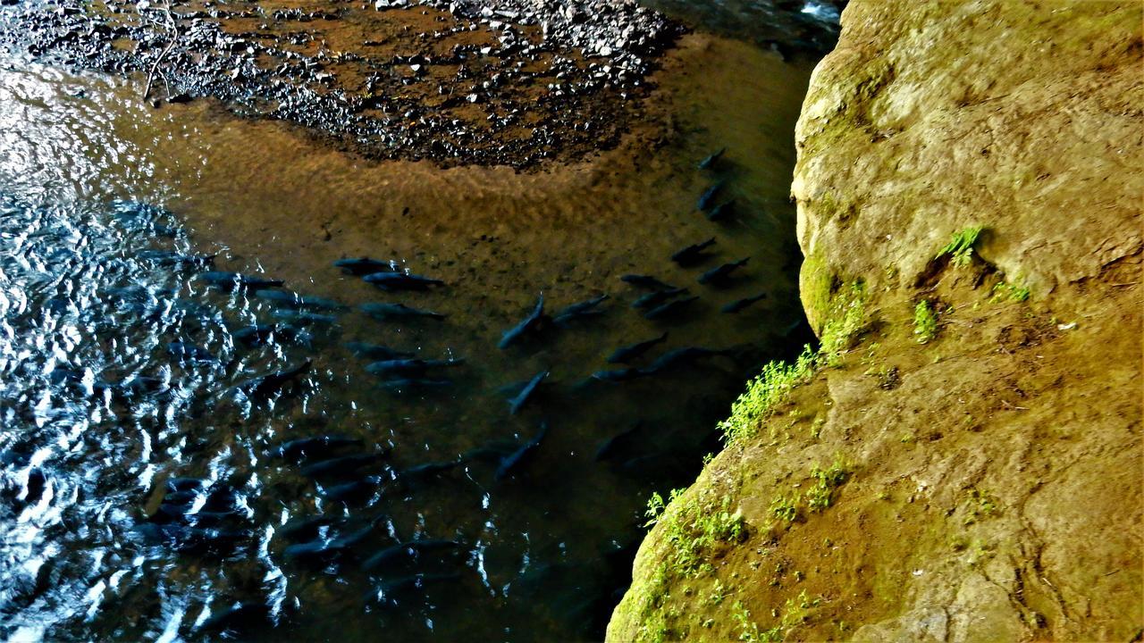 Riverside Ban Cho Lae Bagian luar foto